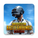 <strong>绝地求生PUBG</strong>