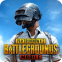 <strong>地铁逃生PUBG</strong>