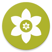<strong>安装狮正版</strong>