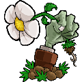 <strong>植物大战僵尸2010版本</strong>