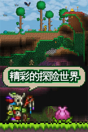 泰拉瑞亚全物品存档版