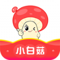 <strong>小白菇</strong>