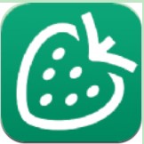 <strong>草莓记账本</strong>