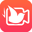 <strong>简影app</strong>