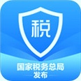 <strong>个人所得税</strong>