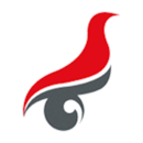 <strong>学信网</strong>