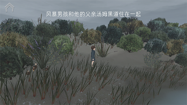 男孩与鹈鹕汉化版